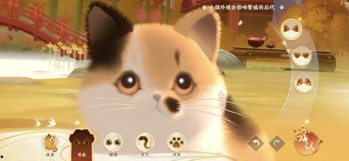 娱乐吃瓜喵不务正业版